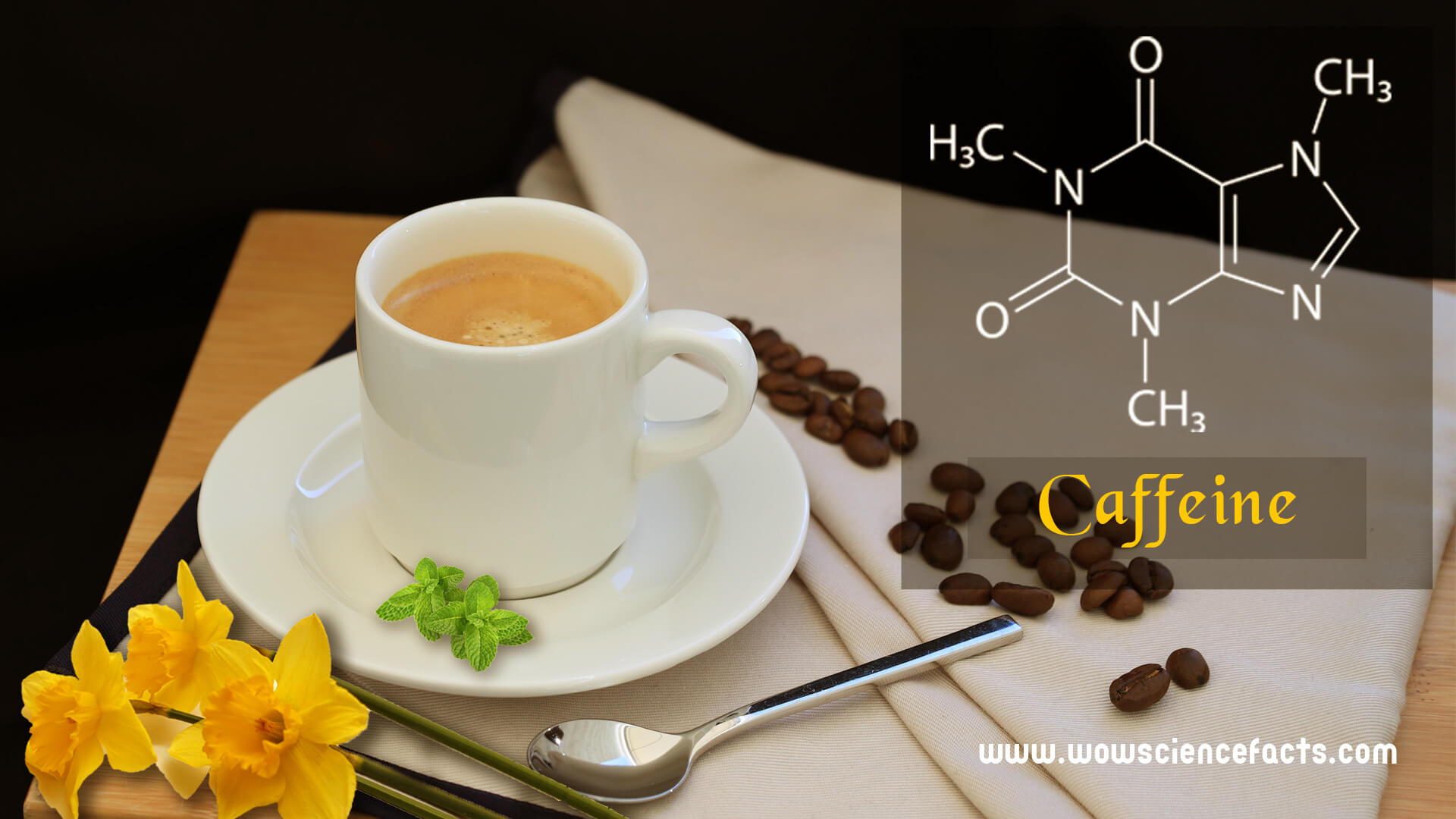 Caffeine chemical structure, how much should be the daily limit